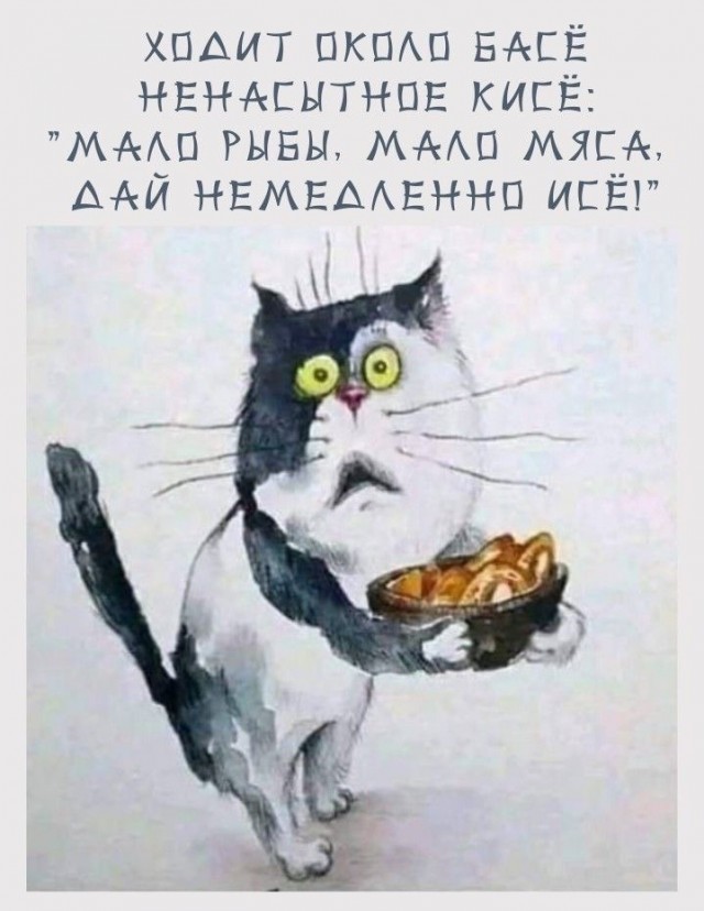 Прикольные и просто красивые картинки 16.01.2026