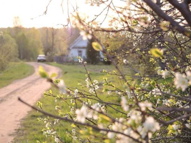 Начало весны в деревне