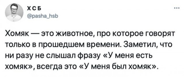 Веселые картинки в маленькую пятницу(25.03)
