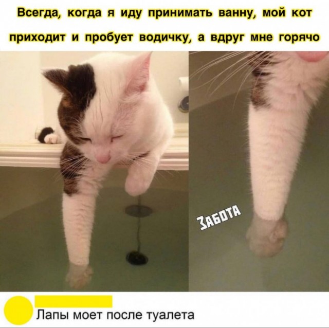 Прикольные и просто красивые картинки 03.04.2026