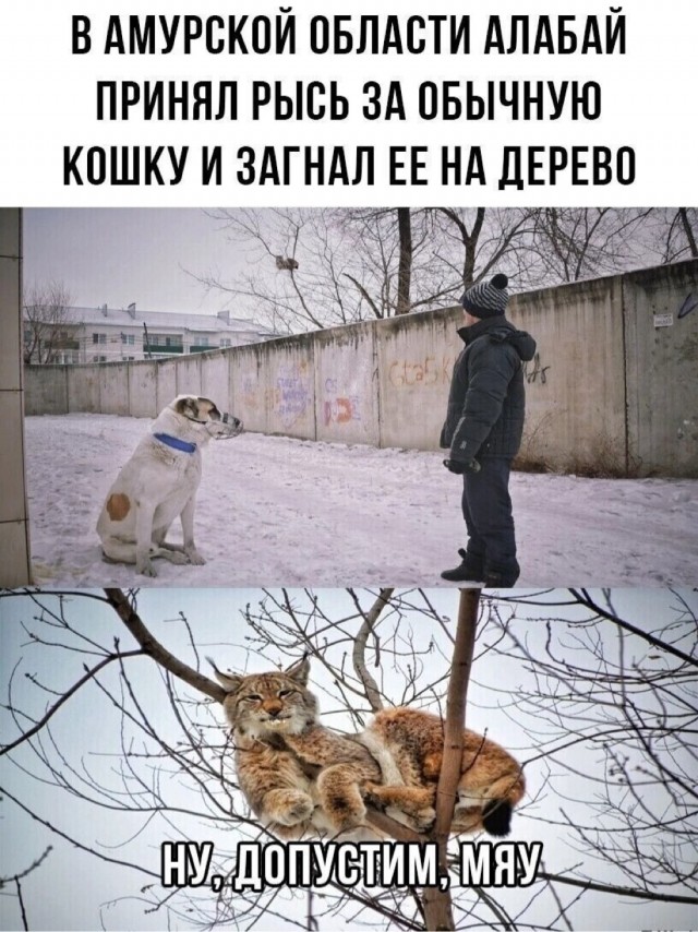 Среды картинки
