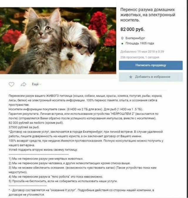Картинки для деградации 221 (разной степени свежести)