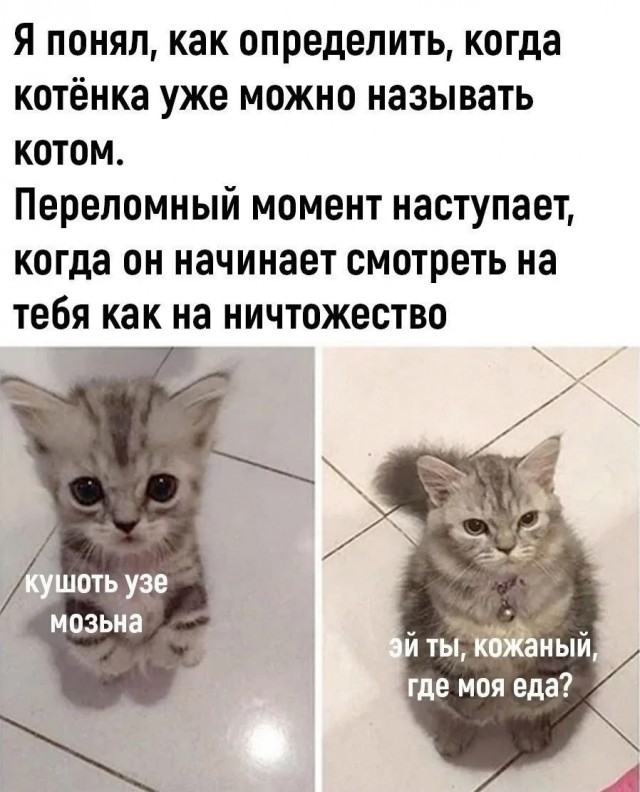 Так себе картинки 01.07.26