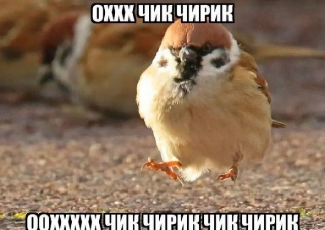 Самый короткий топ