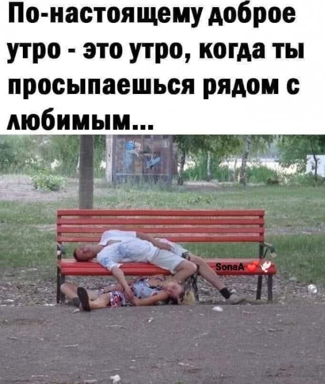 Прикольные и просто красивые картинки 14.08.2026