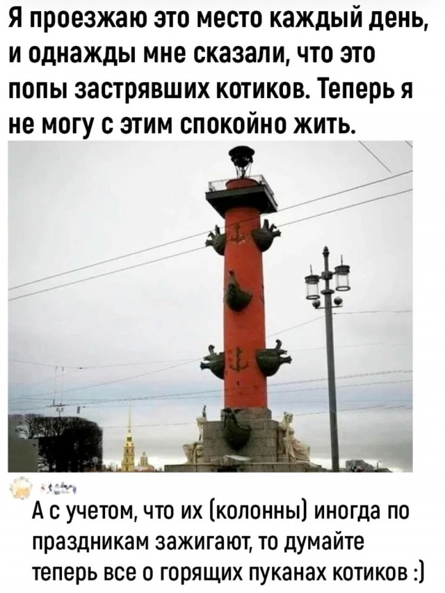 Питерский Винни-Пух