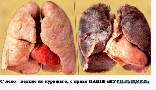 Ответ курильщиков