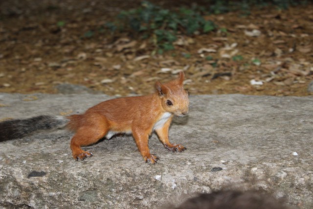 Отчёт о поездке в Крым 12.07 - 29.07
