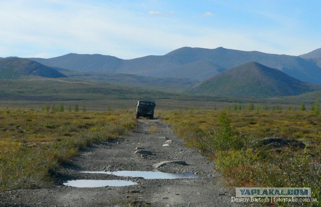 Леса с другой планеты!
