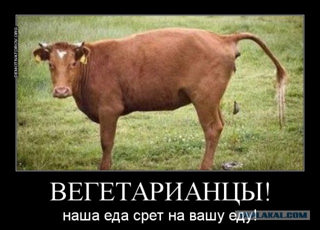 Травоядные совсем чокнулись.