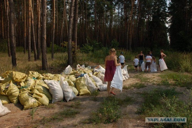 История одного чистого леса под Харьковом