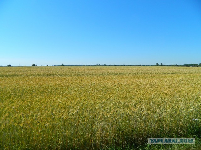 Сварщик 80 уровня
