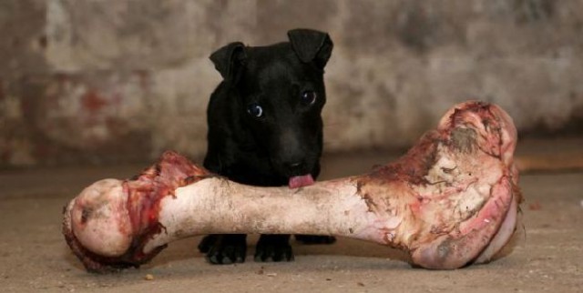 А я люблю свою жену.