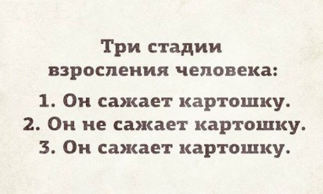 Немного веселых картинок