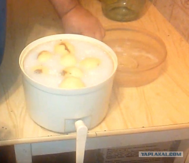 Котлетки мясо-гречневые