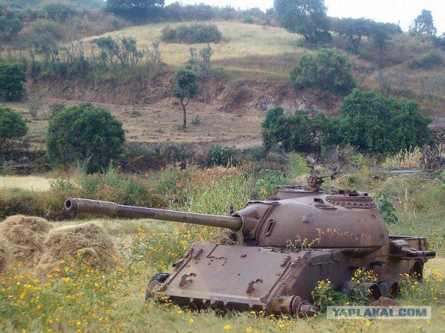 Танки поглощенные природой. Всё проходит...