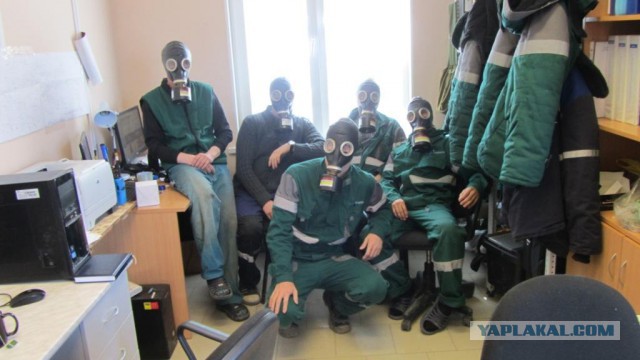 Трудовой народ в лицах