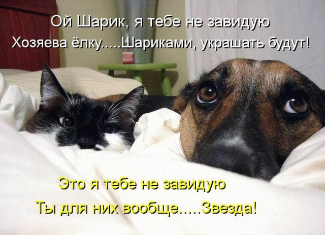 Подборка интересных и веселых картинок