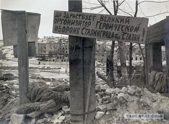 Исторические фотографии, на которых запечатлены самые темные страницы истории