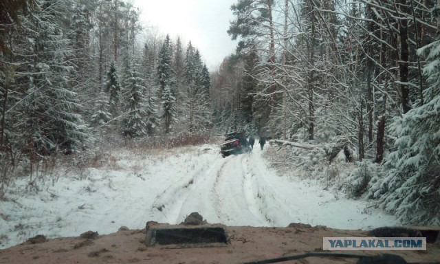 Полная Чухлома
