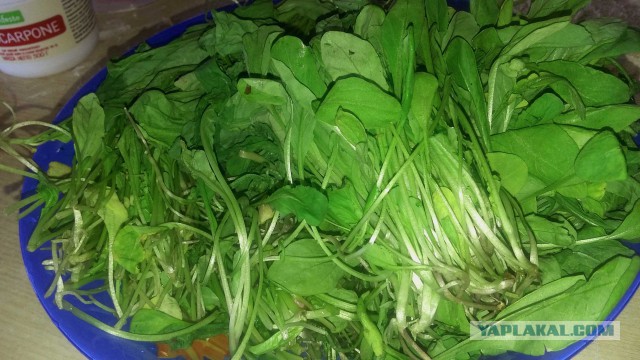 Пасхальный стол. Кулинары поздравляют!