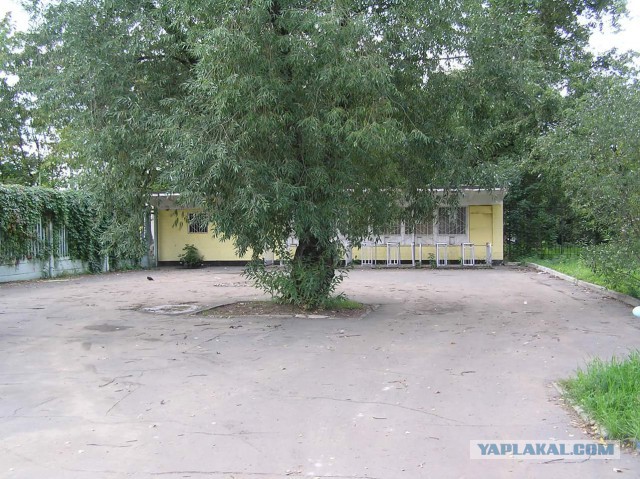 Беседка ФиС ЯПа 2