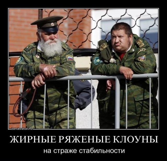 Я тут на митинг вчера сходил