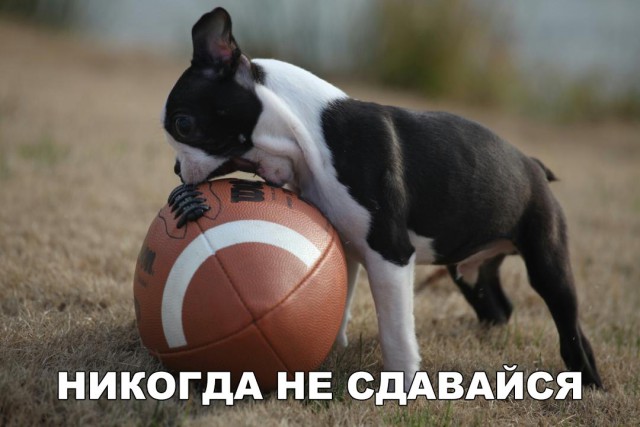 Нестандартный юмор