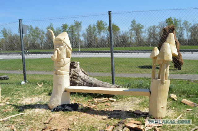 Битва бензопил. «Делай, как я!»