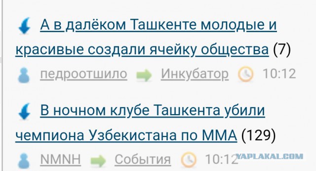 А в далёком Ташкенте молодые и красивые создали ячейку общества
