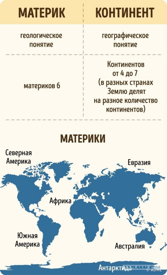 Прикольные комментарии и высказывания из Сети  07.11.2018