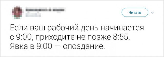 Девушка рассказала о работе в Японии. Спорим, вы бы не хотели оказаться в таком офисе