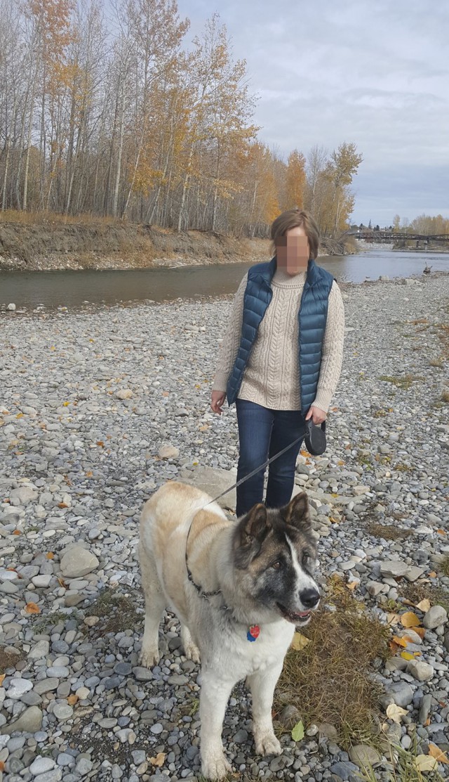 Собачья жизнь