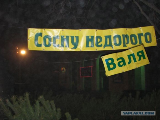 Недорогие услуги населению