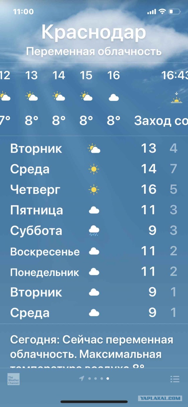 В чем причина отсутствия новогоднего настроения у россиян