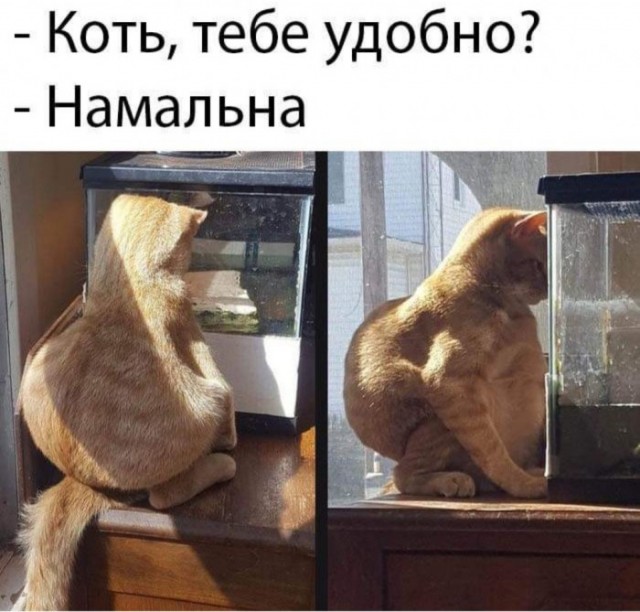 Как я искал интима...
