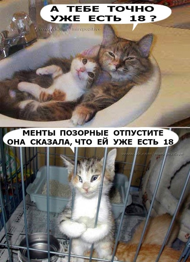 Когда Наташа легла спать