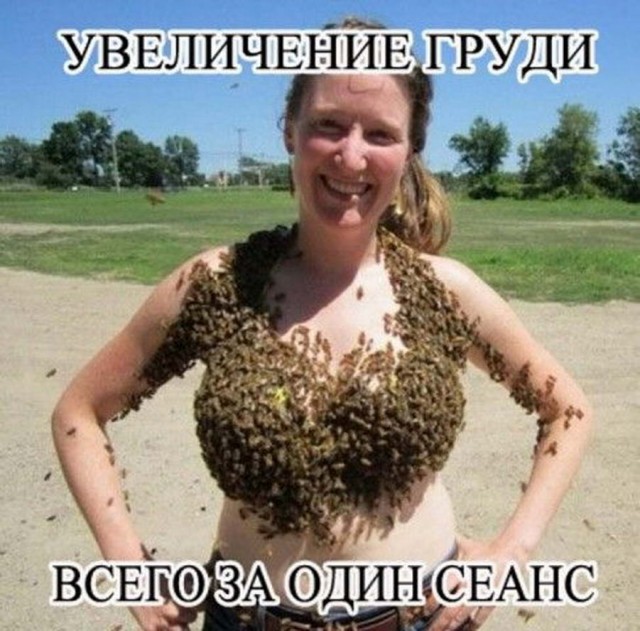 Подборка баянов