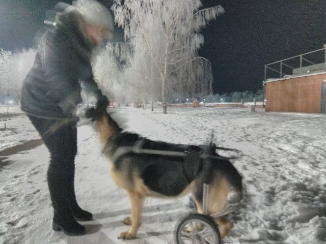 Доброты пост