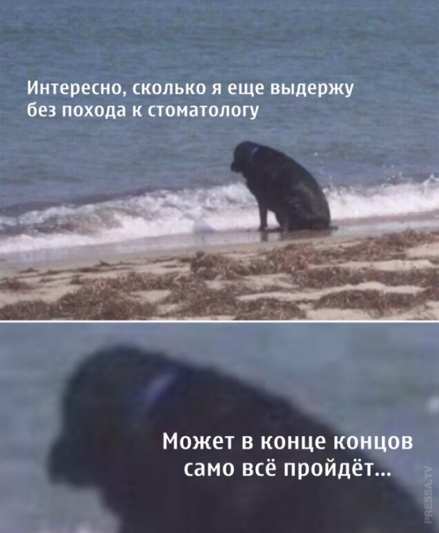 Немного картинок для настроения 19.09.20
