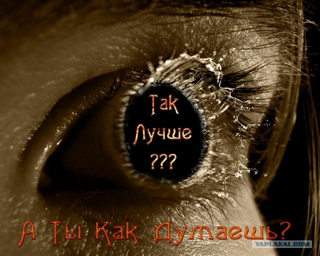 Фотожаберы откликнитесь: техника безопасности
