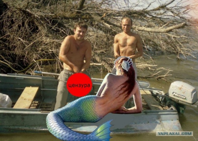 Жабим Улов