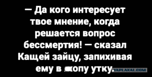 Картинки с надписями и всякие жизненные фразы