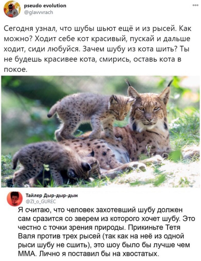 Боянистые картинки 12.12.20