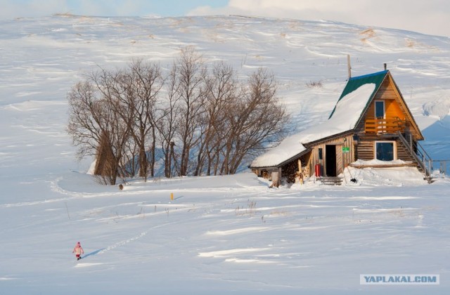 Фотожаба: Рисунок с натуры