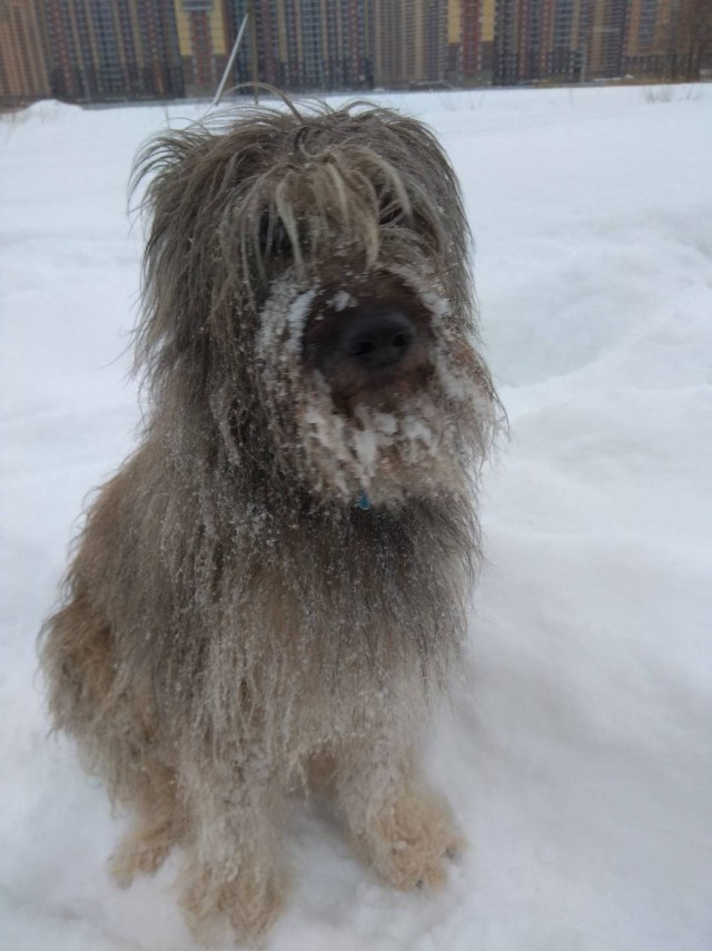 Подборка забавной живности