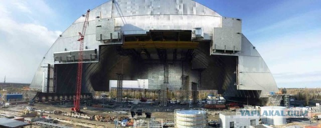 В международной зоне прилёта Внуково установили ширму