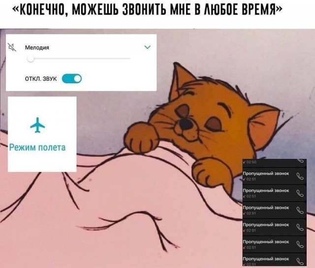 Бредзона 28.01.2021