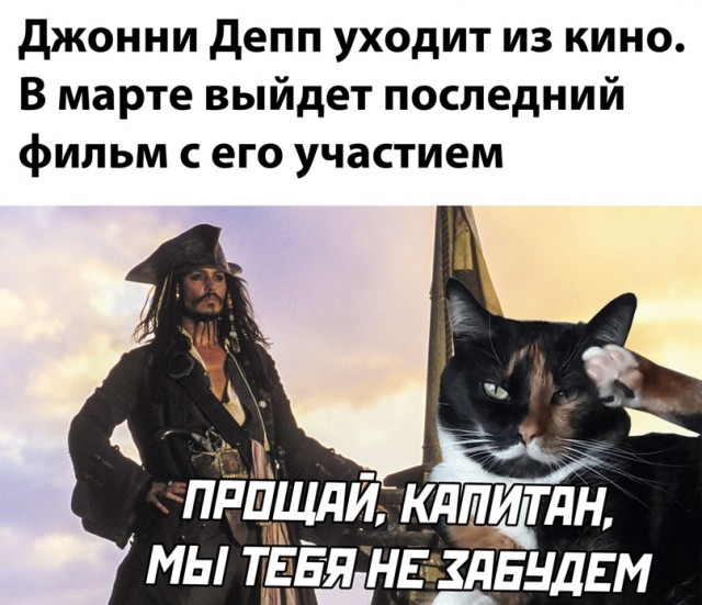 Весёлый полтишок 13.03
