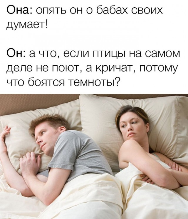Весёлый полтишок 29.04